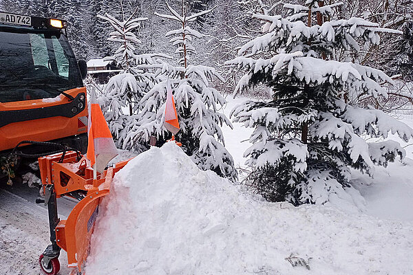 Seitenansicht eine Schneepflugs, der Schnee vor einen Baum schiebt
