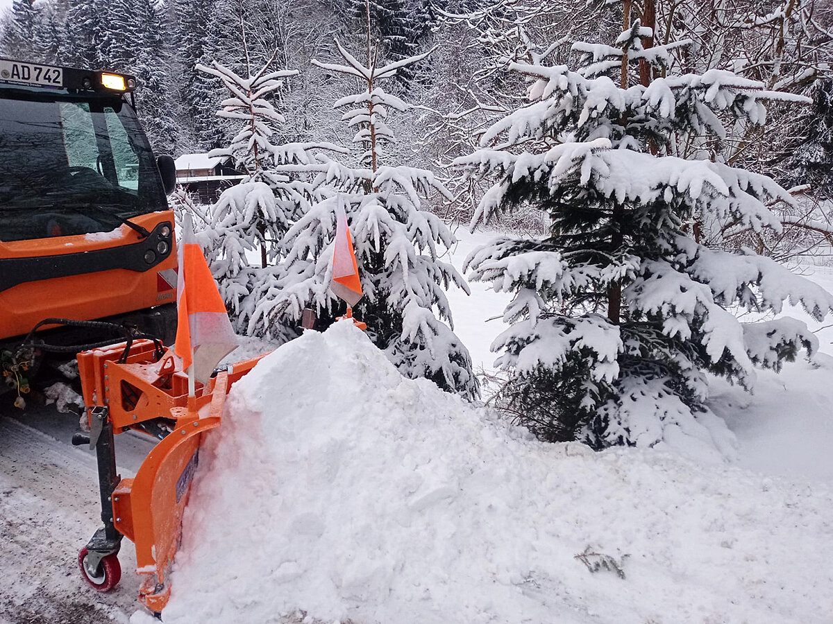 Seitenansicht eine Schneepflugs, der Schnee vor einen Baum schiebt